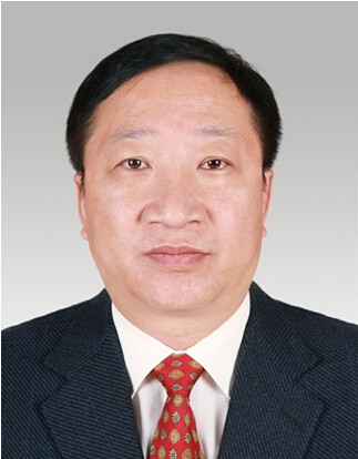 县政府党组成员、副县长 杜庆辉