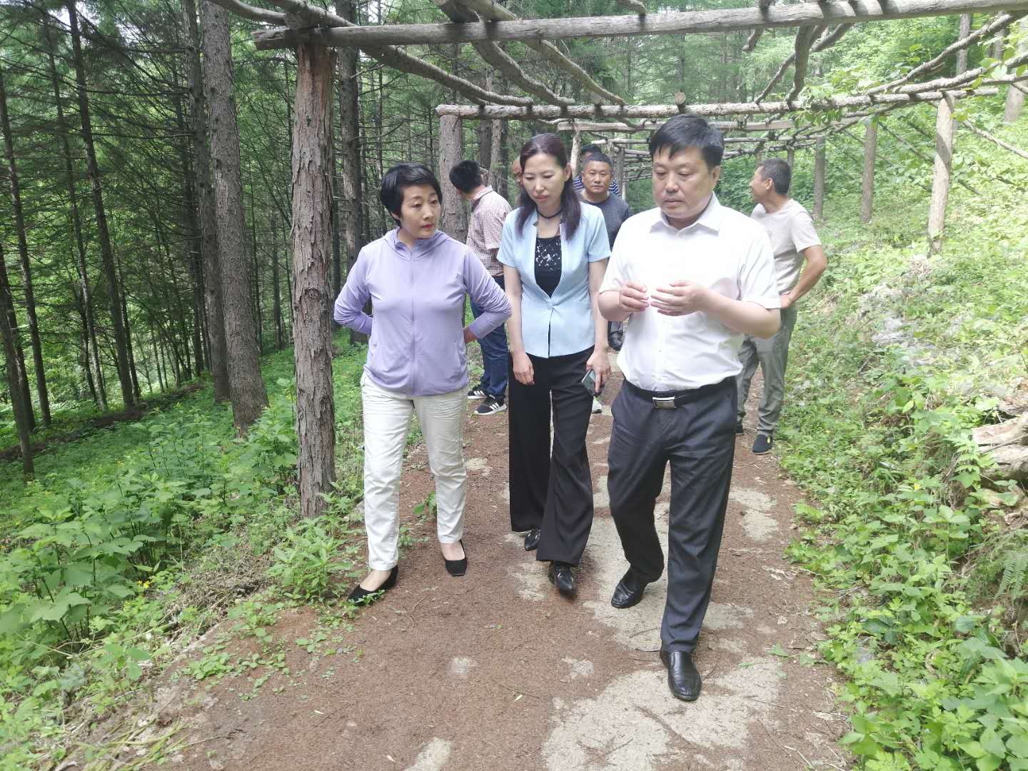 县政协副主席赵艳丽一行到我乡调研乡村振兴产业发展