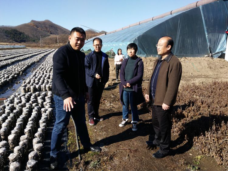 市政府办公厅领导到派驻村走访调研精准扶贫工作
